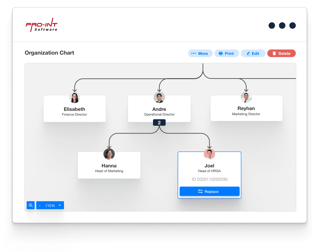 org chart_Org&JD 01 - Pro-Int Software - Pro-Int Software